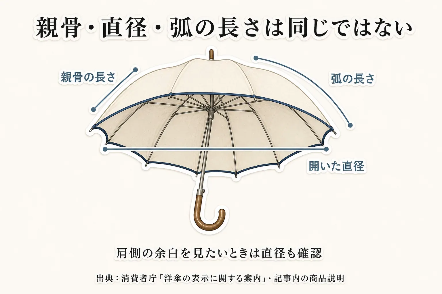傘の親骨の長さ、開いた直径、弧の長さが異なる測り方であることを、傘の骨に沿う線、傘を横切る直線、傘の弧に沿う線で示した図。肩側の余白を見るときは開いた直径も確認する。出典：消費者庁「洋傘の表示に関する案内」・記事内の商品説明